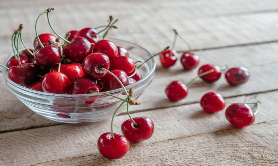 Cultura de cireșe și vișine, importanța acestora