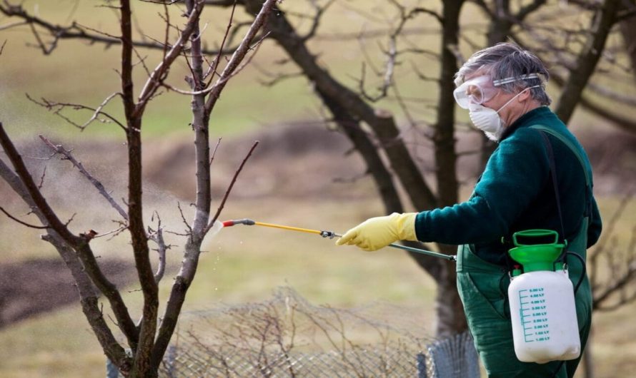 Schemă cu tratamente ale pomilor fructiferi intr-o livadă mixtă
